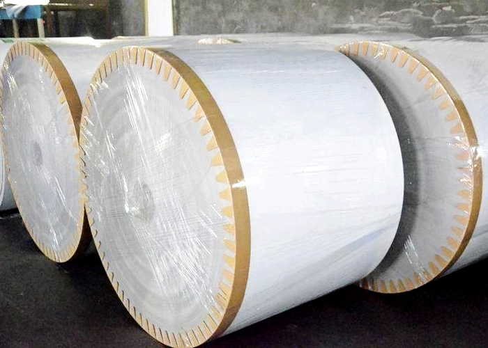 Double sides coated White Back Coated Duplex Board in sheets in rolls