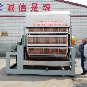 Wholesale State-of-the-Art Egg Tray Machine for Sustainable Packaging Solutions from china suppliers
