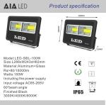 Modern aluminum 60degree led flood lights COB 100W Flood light for commerical