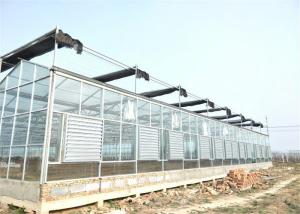 Wholesale Simple Construction Agricultural Glass Greenhouse Venlo Type Greenhouse For Vegetables from china suppliers