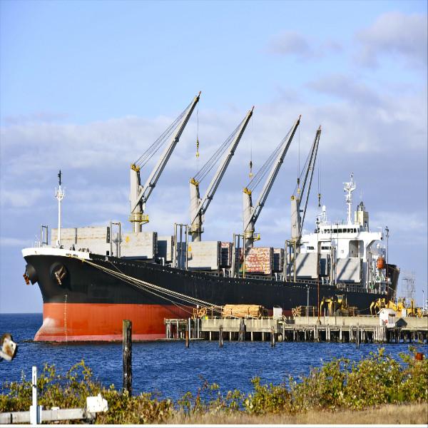 Professional International Sea Freight Shipping To Germany Uk Usa France Ddp