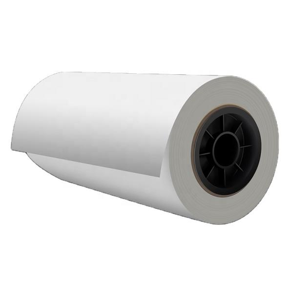 Printer Transfer Film Double Side Printing Hot Peel Roll Dtf Pet Film Better Printer