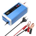 Private Mold Yes Full Self Stop Smart Battery Charger 12V 10A 24V 5A Universal