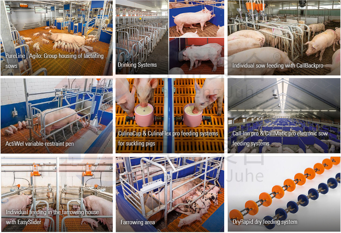 Q235B/Q345B Low Carbon Steel Structure Prefabricated Pig House