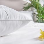 Healthy Buckwheat Luxury Hotel Pillows Comfortable Customized Logo Anti - Static