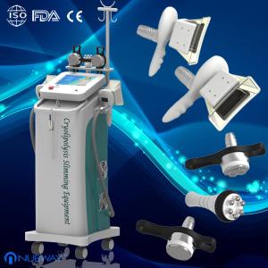 Wholesale fat removal weight loss cryolipolysis slimming machine body thinning from china suppliers
