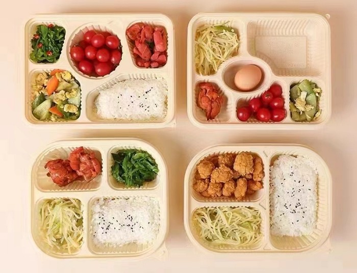 Plate Biodegradable Tableware Machine Sugarcane Bagasse Cup Making