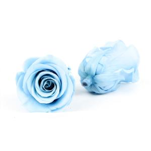 Wholesale 6pcs Long Lasting Diameter 5-6cm Preserved Flower Heads from china suppliers
