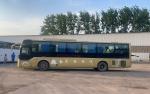 Fuel Type Diesel Used 65 Seats Luxury Coach Bus in Nice Buses