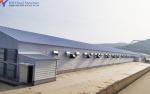 Q345 Q235 Steel Poultry House Onsite Installation With Automatic Equipment