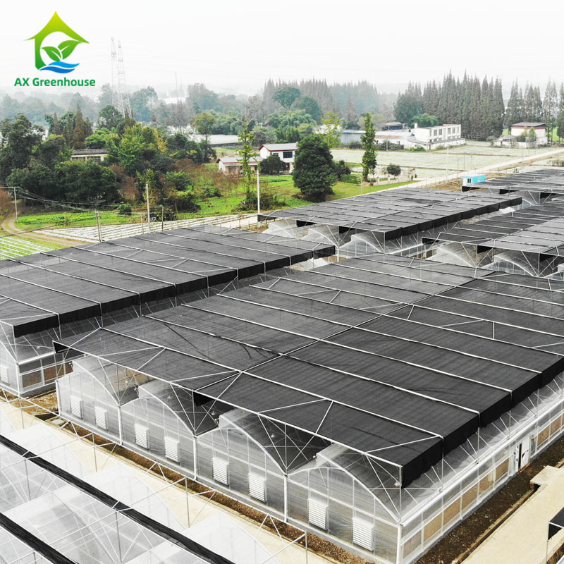Metal Frame Durable Multi Span Plastic Film Greenhouse For Agriculture Farming