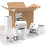 Global Package Label For International Shipping And Postal Standards
