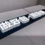 Back Lit LED Metal Letter Lights Sign 3D Plastic Luminous Characters for