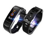 ECG PPG Fitness Smart Band