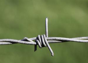 Wholesale Use Of Prison Walls Double Strand Traditional Twist Galvanized Barbed Wire Coils from china suppliers