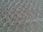 Galvanzied 1.0m Height Pvc Coated Gabion Box Wire Strong Flexibility Woven