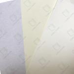 Bulk Bible Paper Supply 16-18 Tons Per 20FT Container