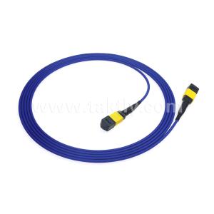 Wholesale Data Center FTTX Fiber Optic Cable MPO Patch Cord MTP Trunk Cable Armored SM MM Jumper from china suppliers