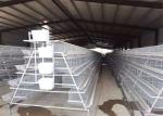 Breeding Layer Chicken Cage Q235 Battery Cages For Laying Hens