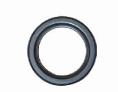 Wholesale 393-0173 Trailer Hub Oil Seal , Oil Bath Hub Seals Custom Design from china suppliers