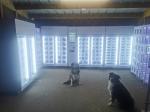 Breads Fresh Food Vending Machine Large Capacity Lockers In France