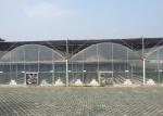 Cooling Plastic Film Vegetable 10m Multi Span Greenhouse