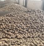 High Chrome Grinding Cast Cement Mill Grinding Media Ball For Power Stations