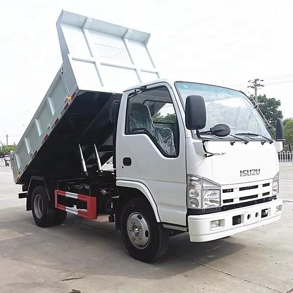 ISUZU Chassis Small Dump Truck 5Tons 6Tons mini Tipper Truck 4X2 Cargo Truck