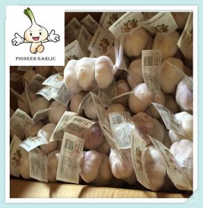 Wholesale Famous fresh white garlic -cheapest price Chinese Natural normal white Garlic from china suppliers