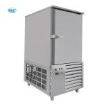 Mobile Cryogenic Commercial Blast Freezer For Plate Freezing And Eco Friendly