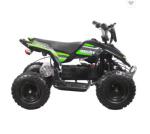 PHYES Best quality 36V 500W 800W 1000W 4 wheel quad bike electric ATV with CE