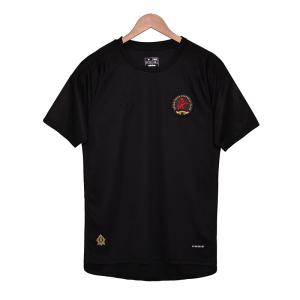 Wholesale 150th Anniversary Aston Villa Jersey 2025-2026 Season Special Edition Customization from china suppliers