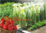 Transparent Low Tunnel Film Perforated For Culture Of Seedling Maturing