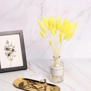 Wholesale Wholesale Price Preserved Flower Dried Rabbit Tail Grass Decorative Flowers from china suppliers