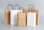 Hot Style Fashion Blank Twist Handle Kraft Paper Shopping Bag with Hand Length