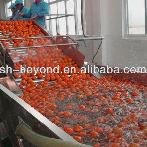 Wholesale SUS304 SUS316L Fruit Clapboard Elevator Fruit Processing Equipment For Fruit Conveying from china suppliers