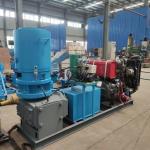 250~500kg/h roller rotate wood pellet mill biofuel straw sawdust pellet making