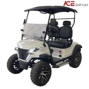 Wholesale Lithium Battery EV Golf Cart With Rear Drum Brake 4KW Motor 80km Range from china suppliers