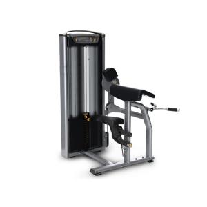 Wholesale Commercial Gym Matrix Strength Training Equipment / Biceps Curl Machine from china suppliers