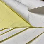 Medical-Grade Adhesive Labels Autoclavable & Chemical-Resistant For Lab Use