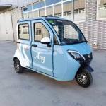 Passenger Gasoline Powered Vehicle Closed Gas Electric Trike Car