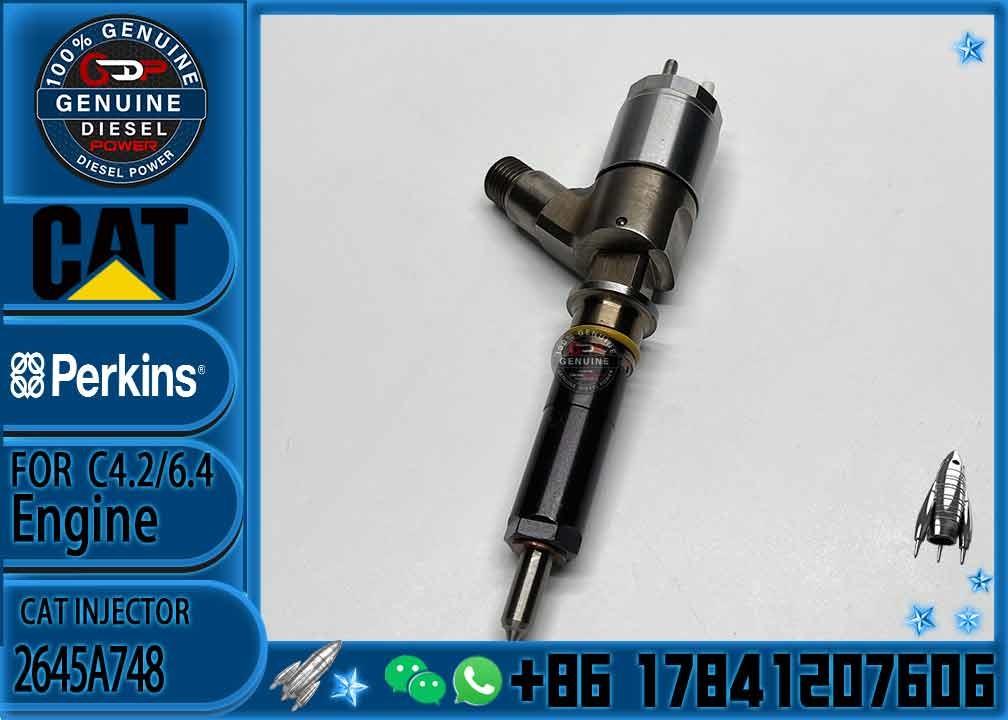 Common rail injector fuel injecto 10R-7675 2645A748 2645A743 320-0670 for C4.2 C6.4 Excavator