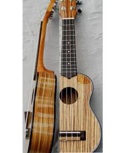 Wholesale 21&quot; professional Ukulele zebrawood solidwood four string guitar high quality AGUL14 from china suppliers