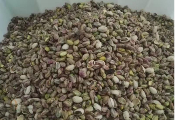 Automatic Plastic Recycle Machine Pistachio Sheller Production Line For Nut Processing Plant