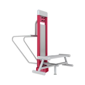 Wholesale WPC Galvanized Steel Pipe Outdoor Fitness Equipment For Calisthenics from china suppliers