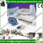 Foam Flooring Underlay (EPE Series) Making machinery(FCFPM-90)