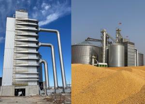 Wholesale 1200T/D Reliable Maize Dryer 80kw For Convenient Sea Transport With 1 Year from china suppliers