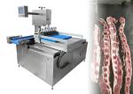 Auto High Speed Meat Double Band Saw Cutting Machine With Intelligent User