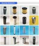 10032835 Industrial Crankcase Breather Air Filter Cartridges For Auto Engine