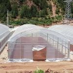 Double Arches Double Film Agricultural Growing 10X50m Single Span Greenhouse
